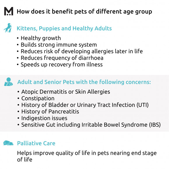 FURMENT Complete 50g - Postbiotics, Probiotics, Prebiotics powder supplement