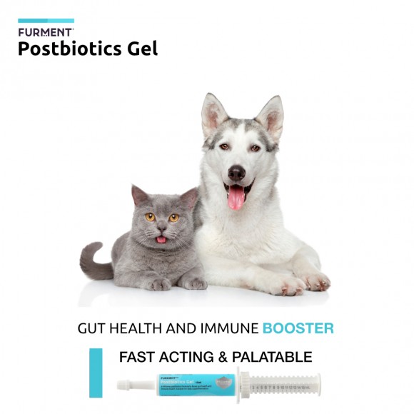 Bundle: Postbiotics Gel & Postbiotics Plus Gel - 15ml each
