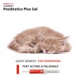 Bundle: Postbiotics Gel & Postbiotics Plus Gel - 15ml each
