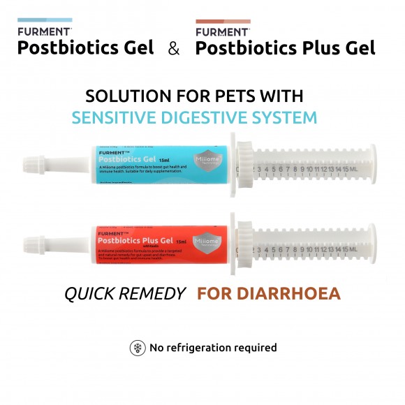 Bundle: Postbiotics Gel & Postbiotics Plus Gel - 15ml each