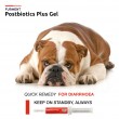 Bundle of 3: Postbiotics Plus Gel - 15ml