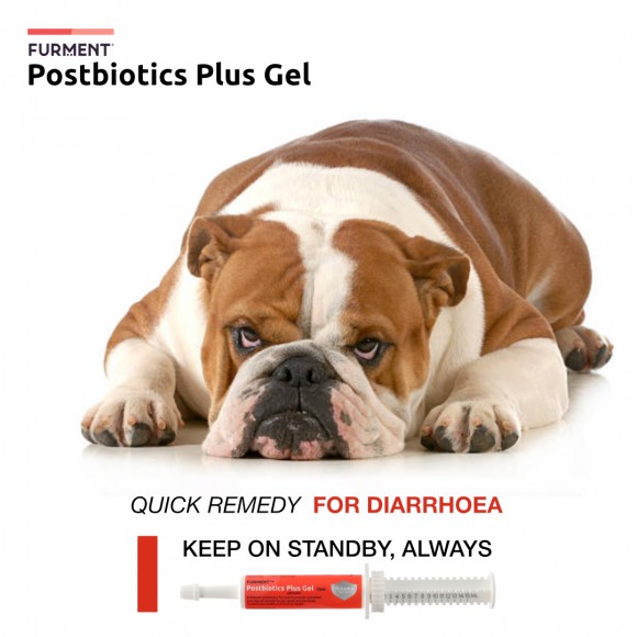 Bundle of 3: Postbiotics Plus Gel - 15ml