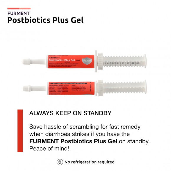 Bundle of 3: Postbiotics Plus Gel - 15ml