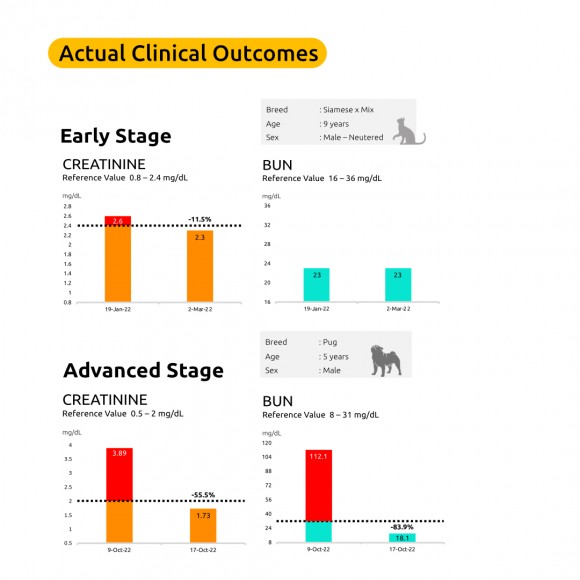 RenaCor - 60 capsules