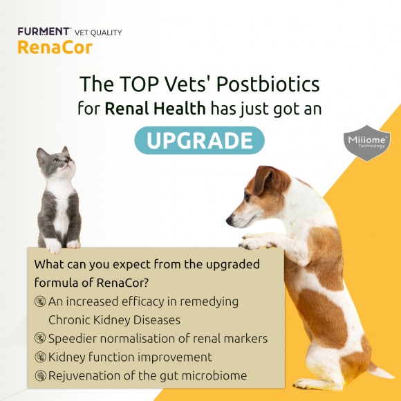 RenaCor - 60 capsules