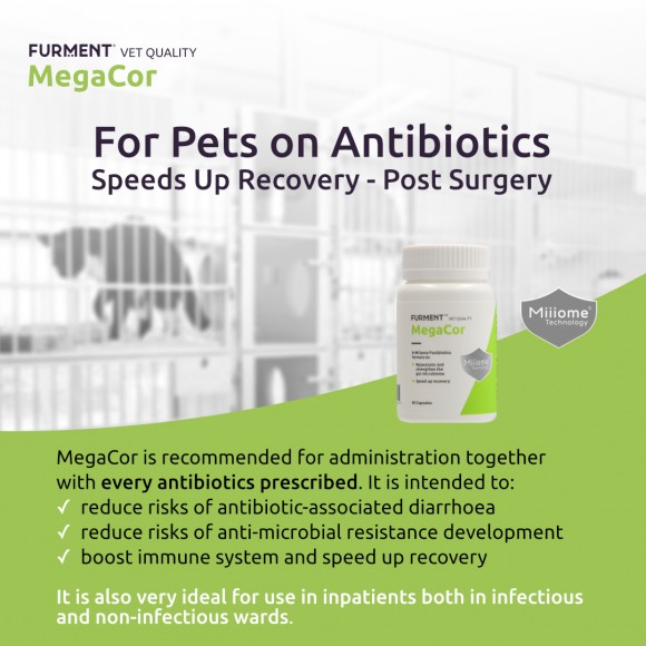 MegaCor - 60 capsules