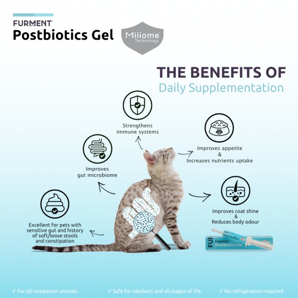 Bundle of 3: Postbiotics Gel - 15ml