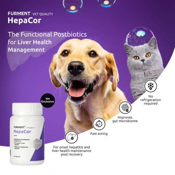 HepaCor - 60 capsules