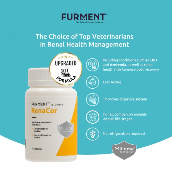 RenaCor - 60 capsules