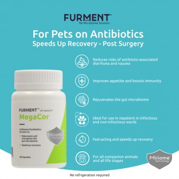 MegaCor - 60 capsules