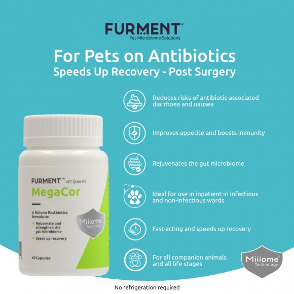 MegaCor - 60 capsules