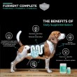 Bundle of 2: FURMENT COMPLETE 200g - Postbiotics, Probiotics, Prebiotics powder supplement